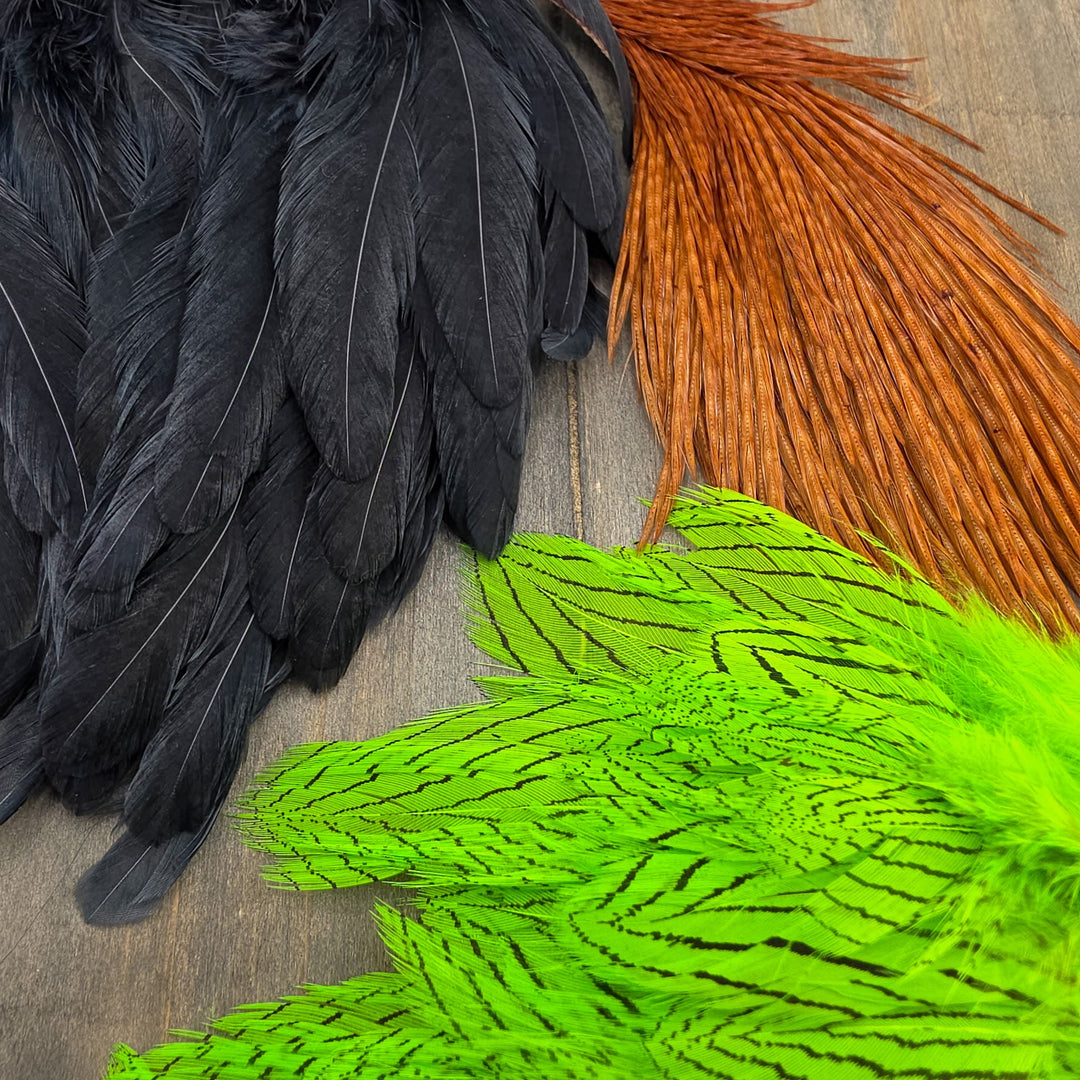 Feathers