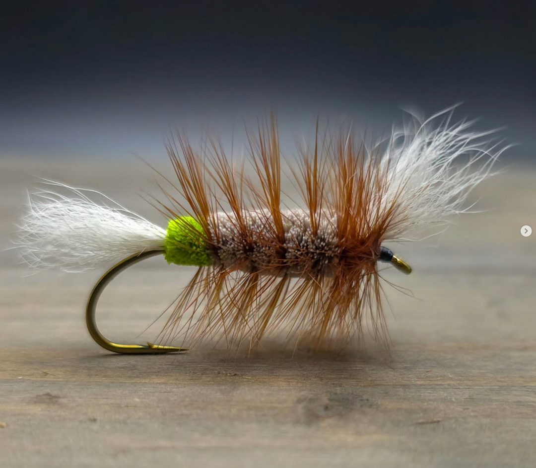 Flies