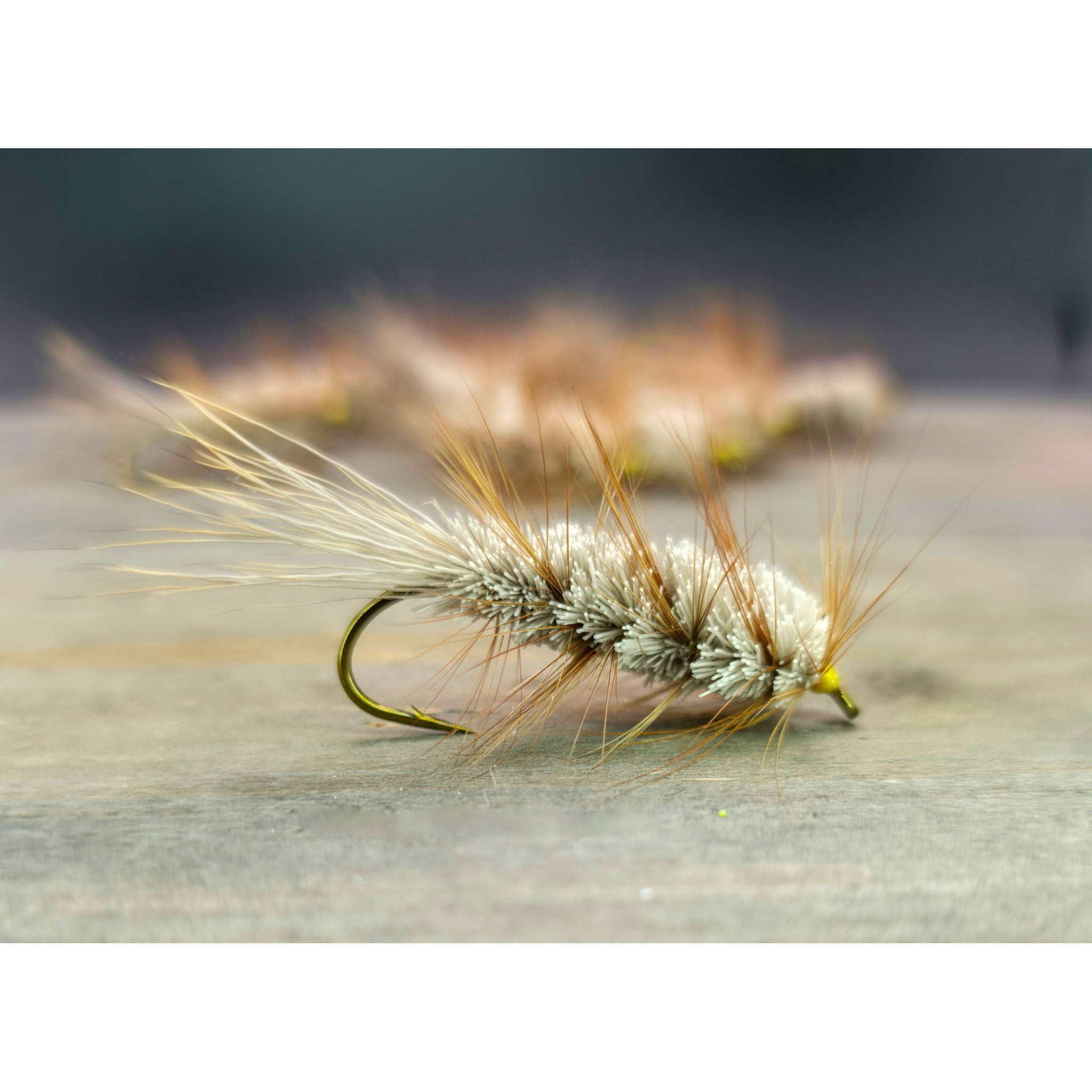 Carter Bug – Chasin’ Tides Tackle Shop