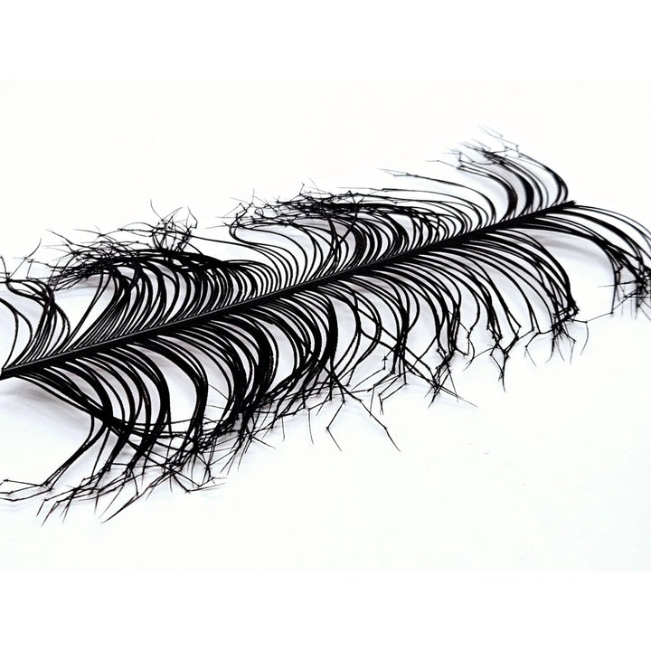 Cock Pheasant Knotted Tails