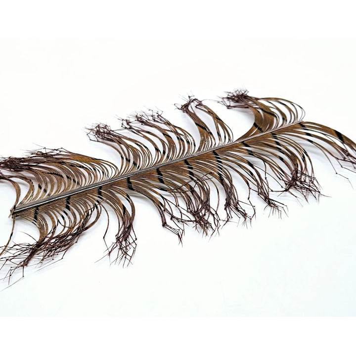 Cock Pheasant Knotted Tails