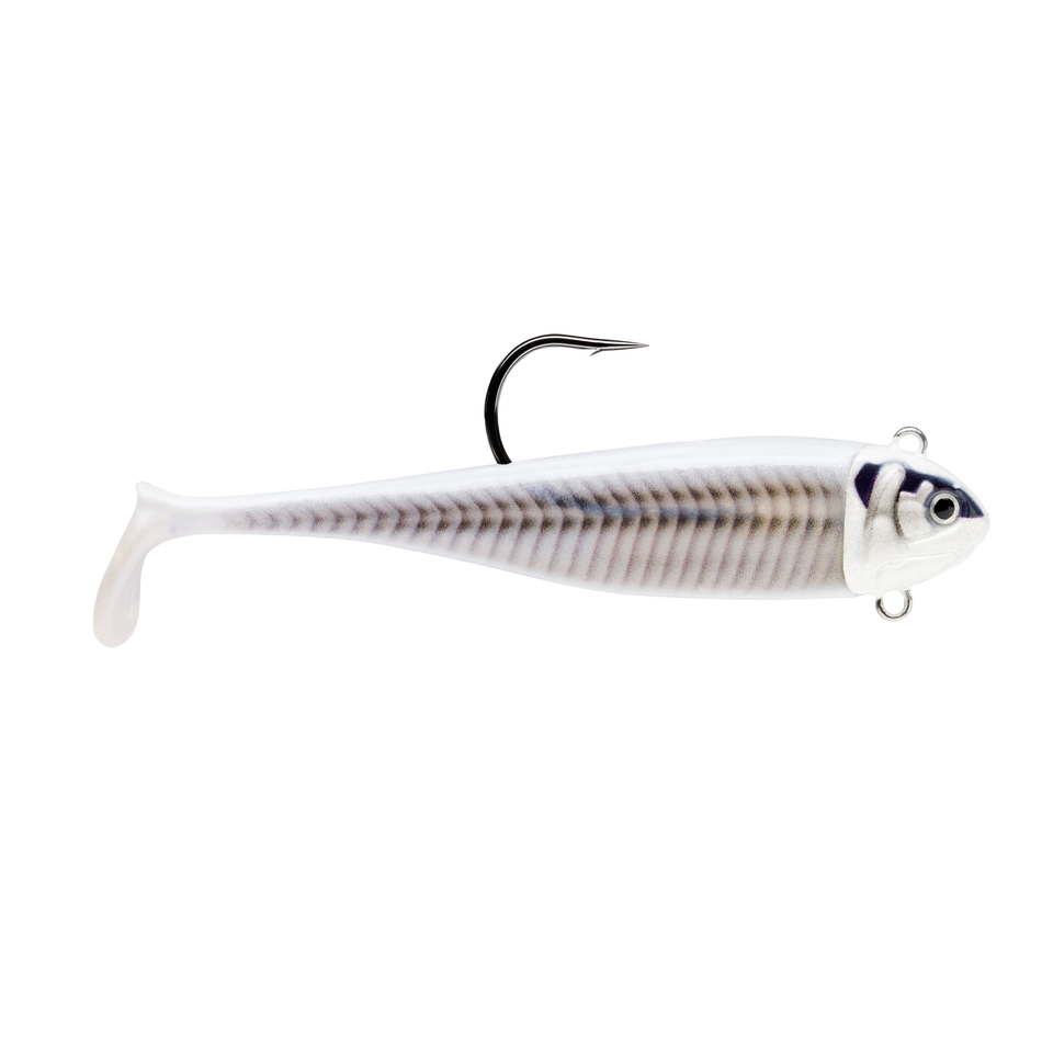 360GT Costal Biscay Minnow (2 Pack)