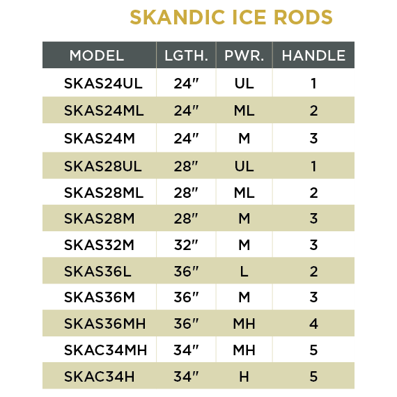 SKANDIC ICE