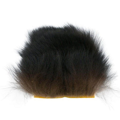 BLACK BEAR PATCH