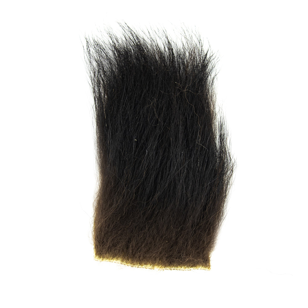 BLACK BEAR