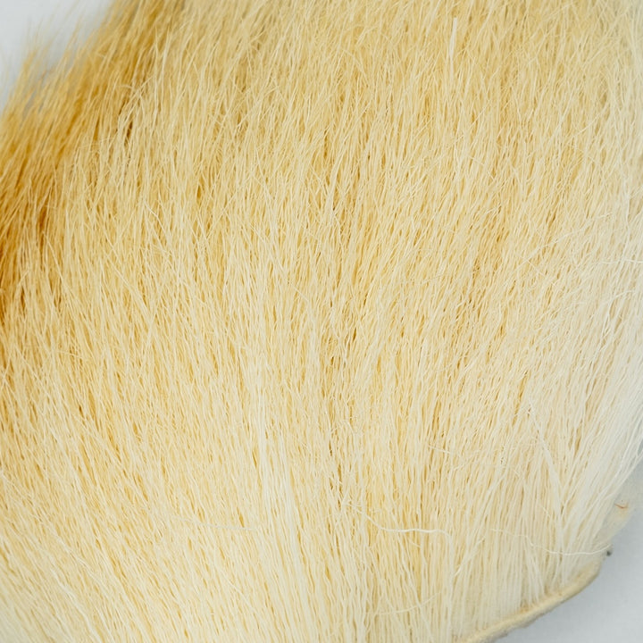 Elk Body Hair