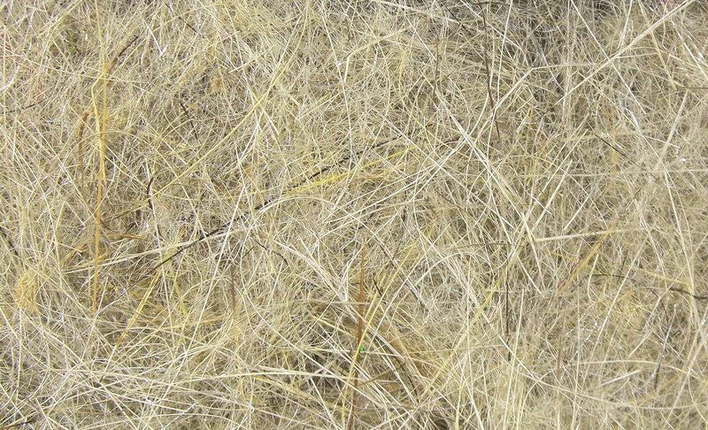 HARE'S EAR PLUS DUB
