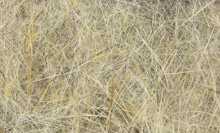 HARE'S EAR PLUS DUB