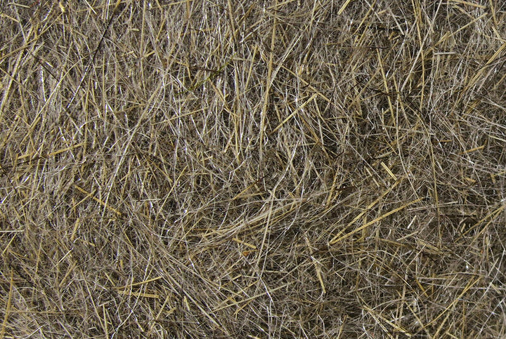 HARE'S EAR PLUS DUB