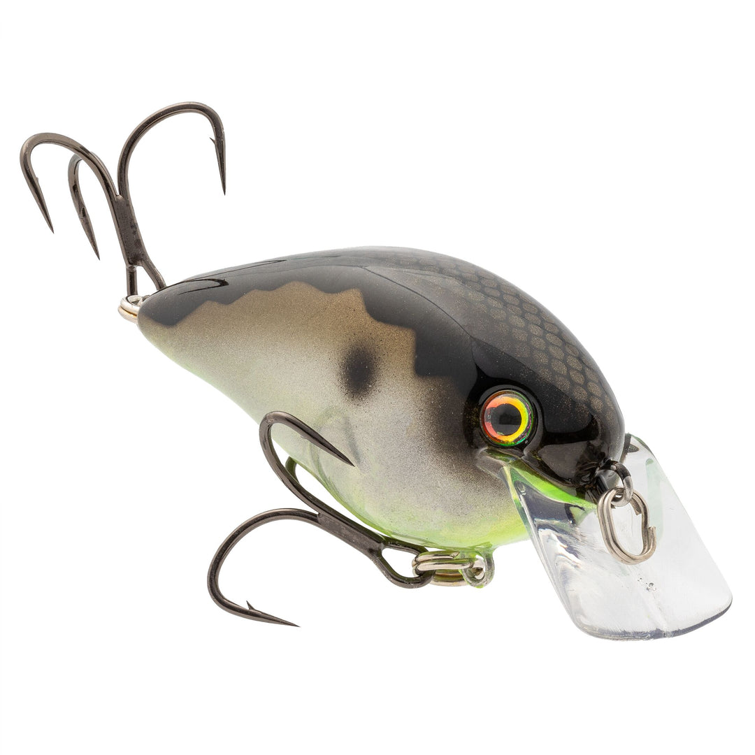 KVD ELITE SQUAREBILL