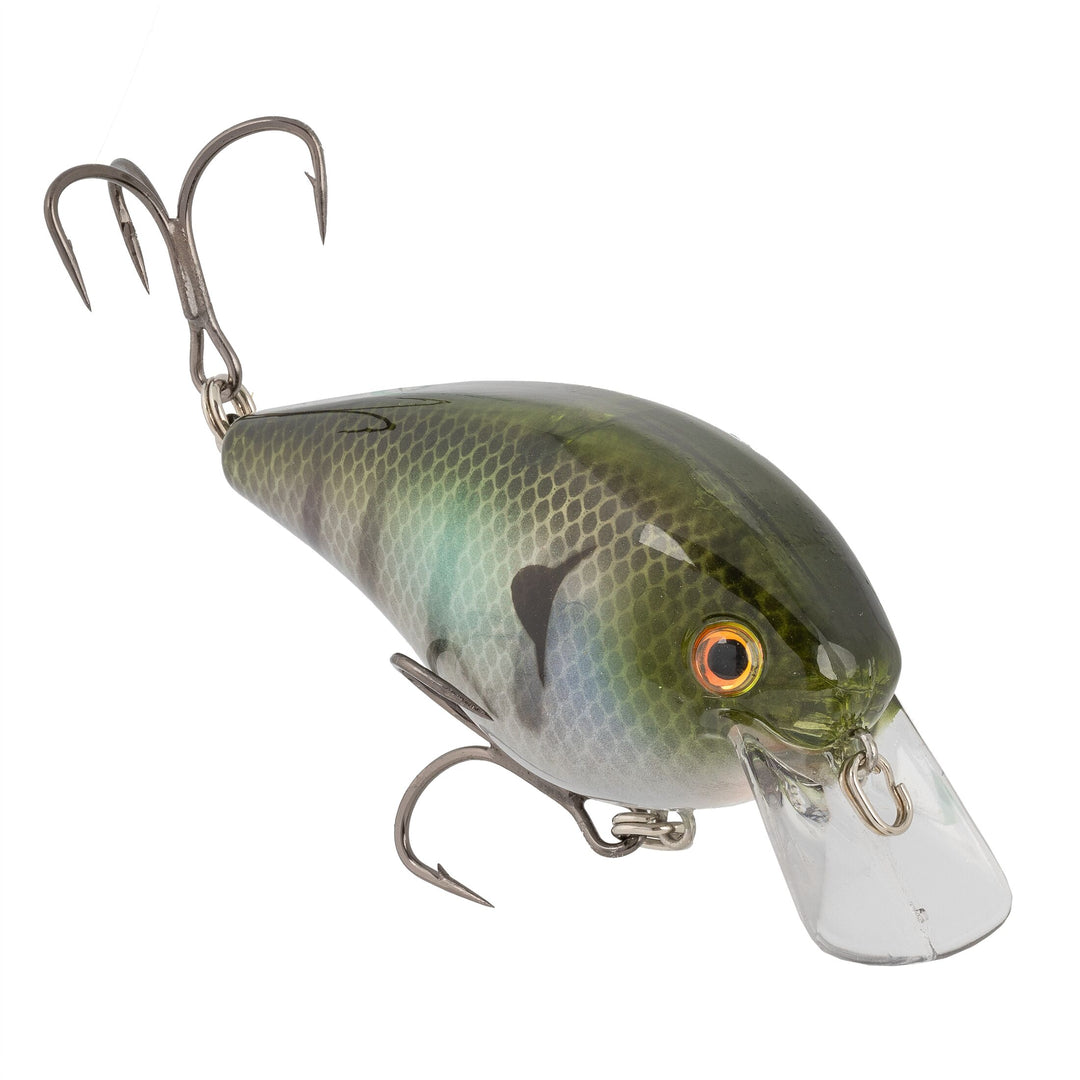KVD ELITE SQUAREBILL