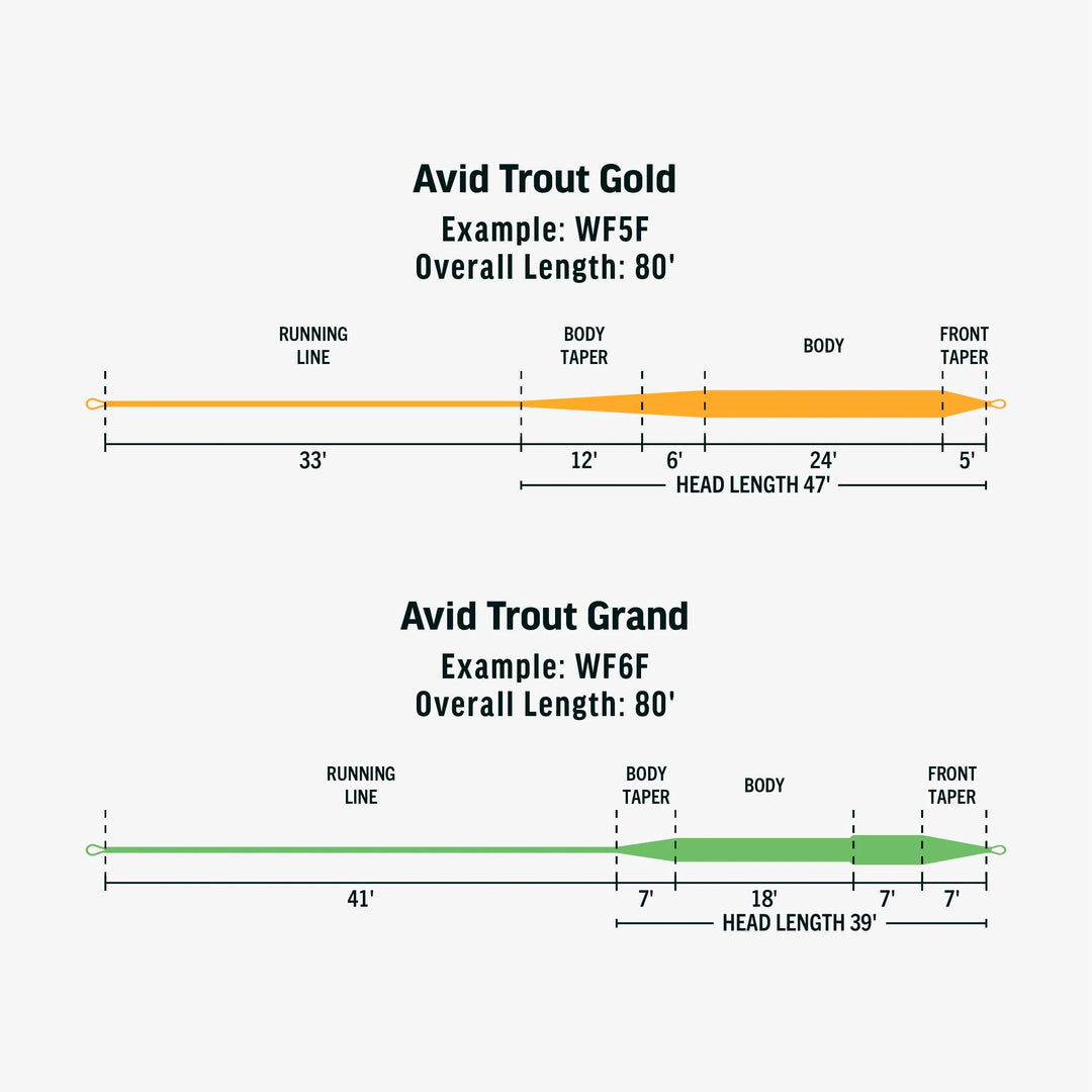 AVID TROUT—GRAND