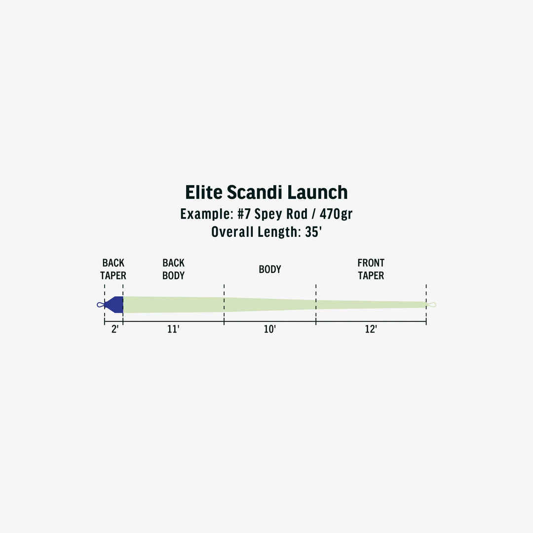 ELITE SCANDI LAUNCH