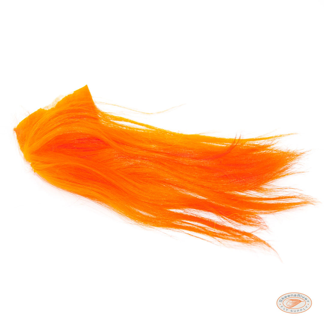 Himalayan Mountain Goat