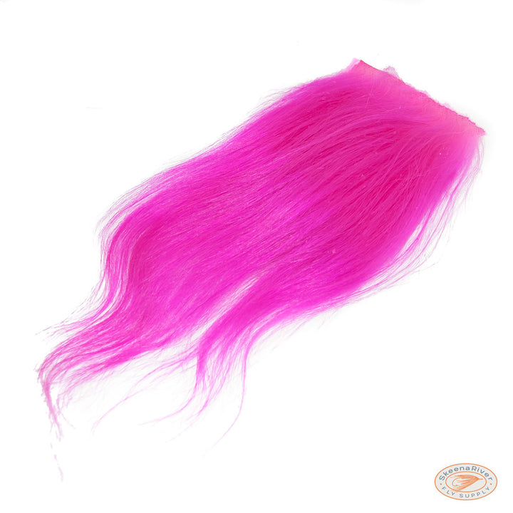 Himalayan Mountain Goat