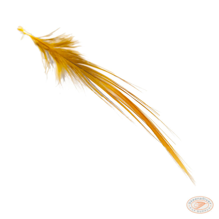 Heron Feathers – Large Premium