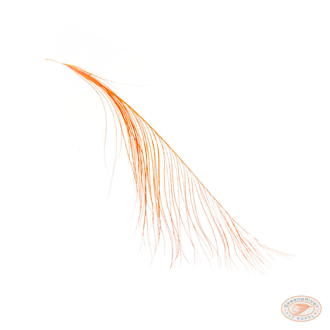 Heron Feathers – Large Premium