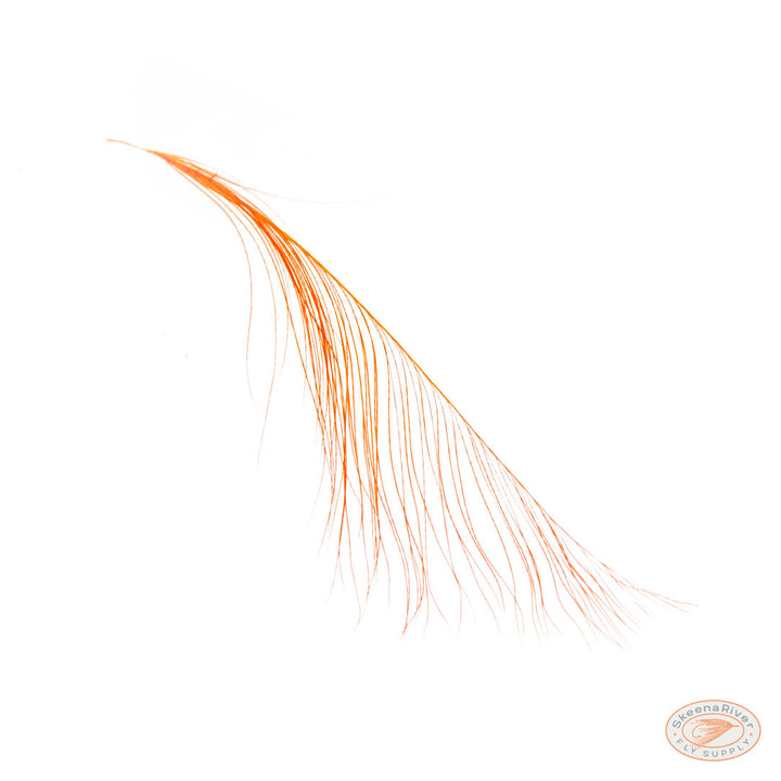 Heron Feathers – Large Premium