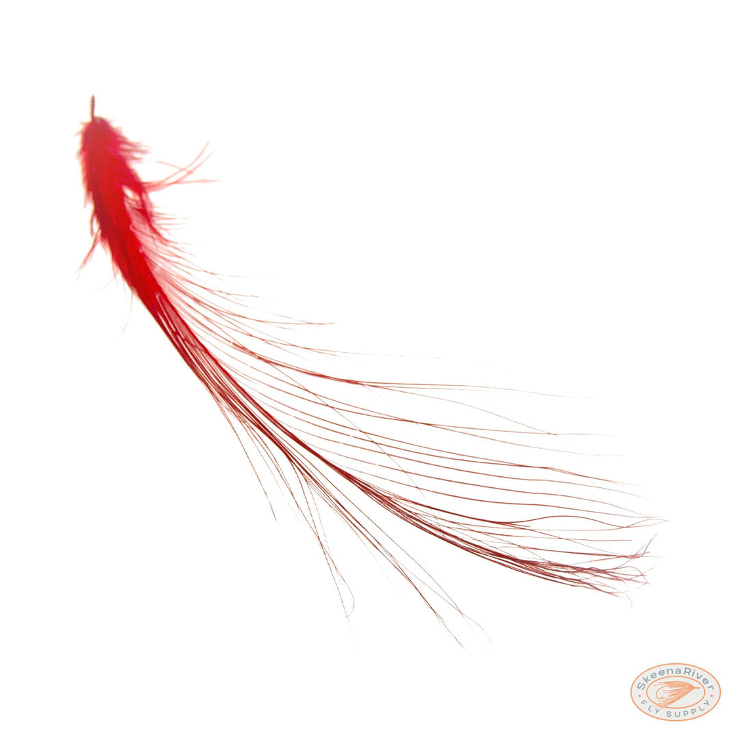 Heron Feathers – Large Premium