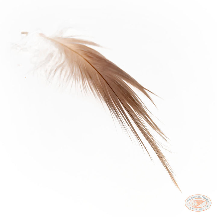Heron Feathers – Large Premium