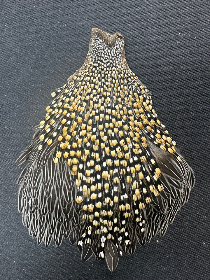 Jungle Cock Capes (WYSIWYG)