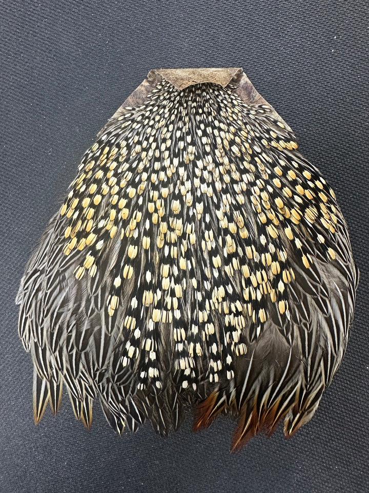 Jungle Cock Capes (WYSIWYG)