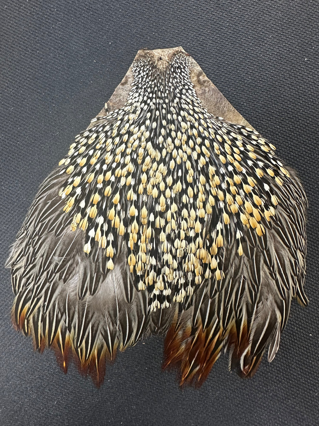 Jungle Cock Capes (WYSIWYG)