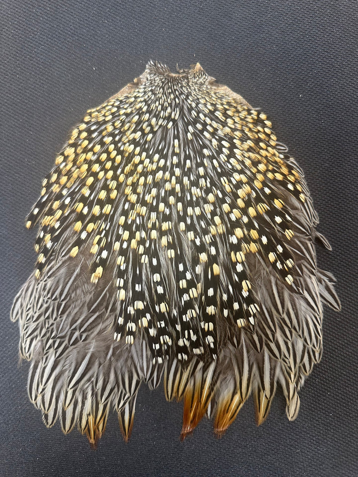 Jungle Cock Capes (WYSIWYG)