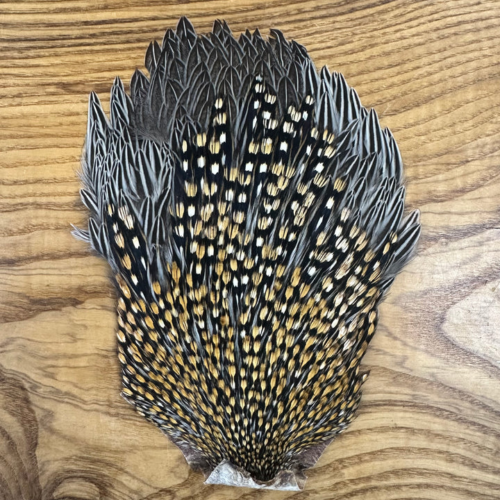 Jungle Cock Capes (WYSIWYG)