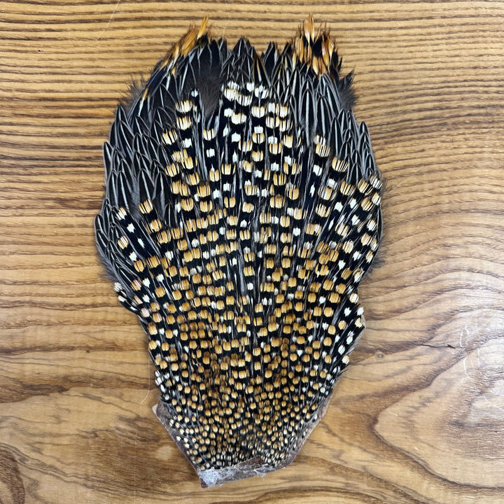 Jungle Cock Capes (WYSIWYG)