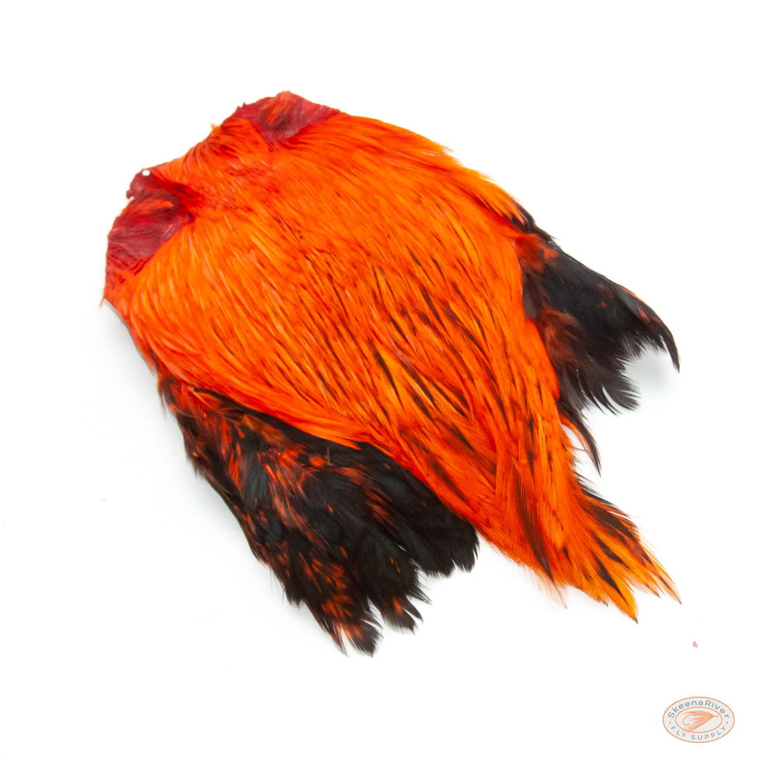 Indian Rooster Neck