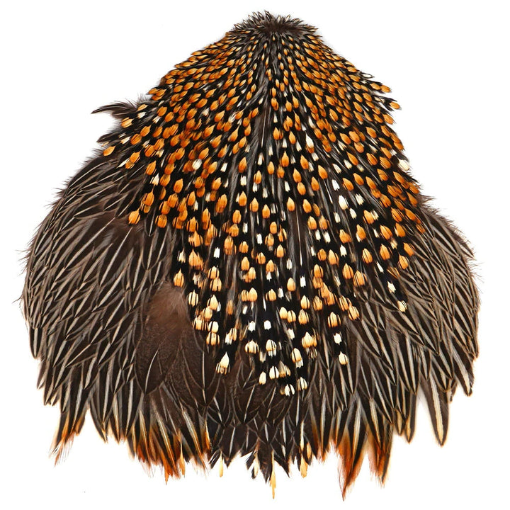 Jungle Cock Capes (WYSIWYG)