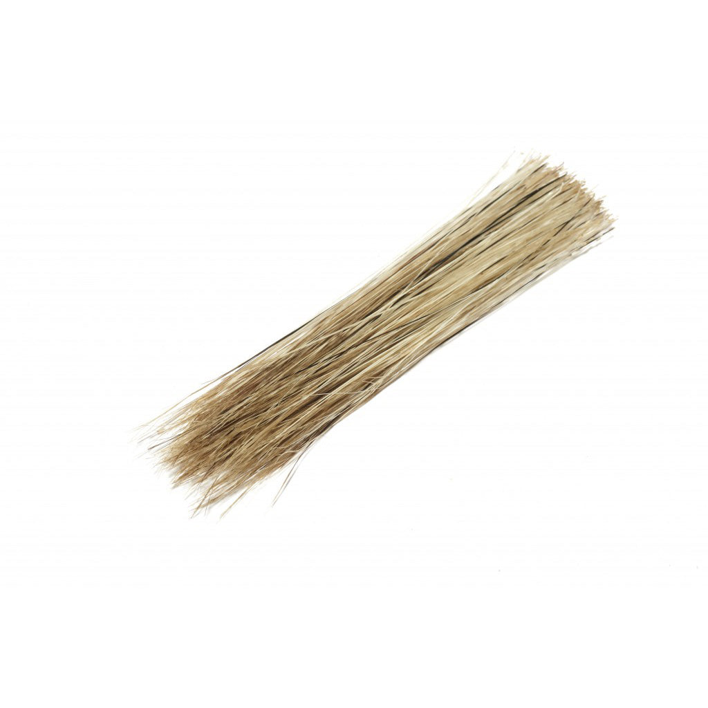 Boar Bristle