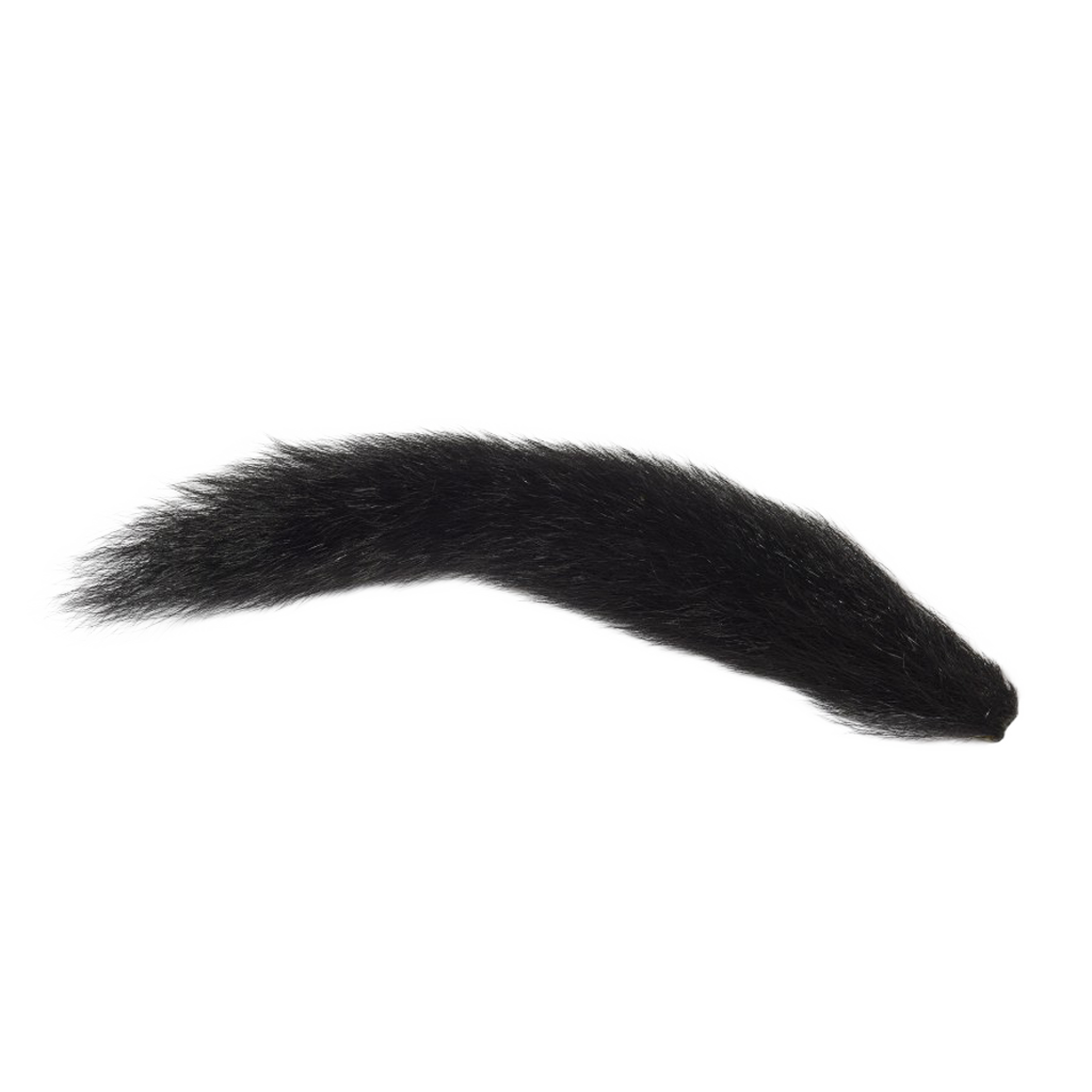 Fox Squirrel Tails