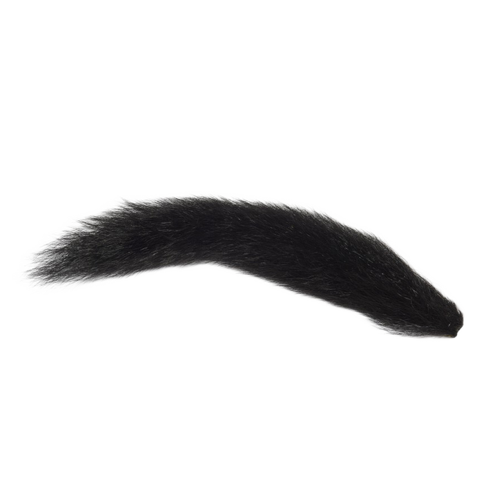 Fox Squirrel Tails