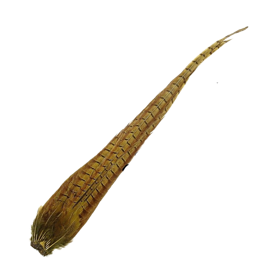 Cock Pheasant Complete Tails- Natural