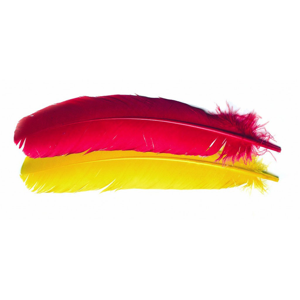 Turkey broad Wing Quill
