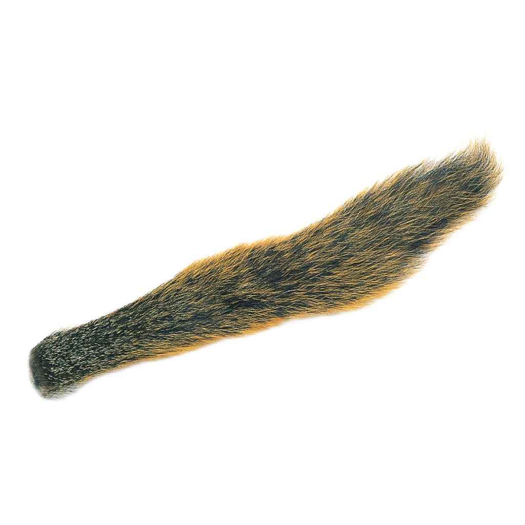 Fox Squirrel Tails