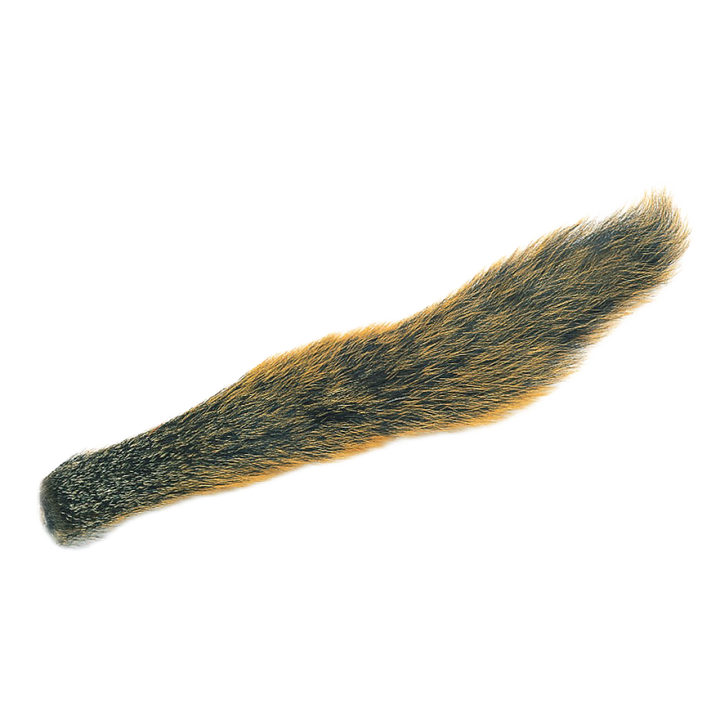Fox Squirrel Tails