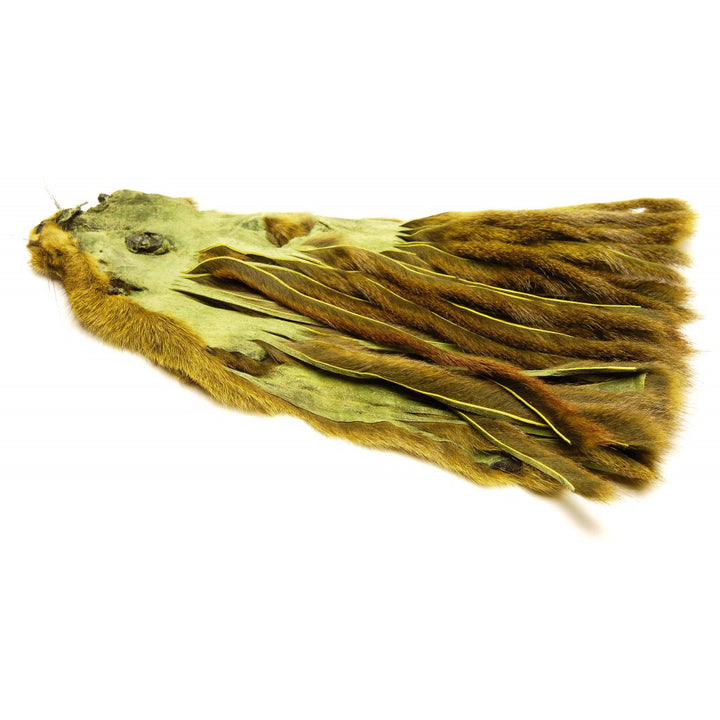 Micro Zonker Pine Squirrel Whole Skin