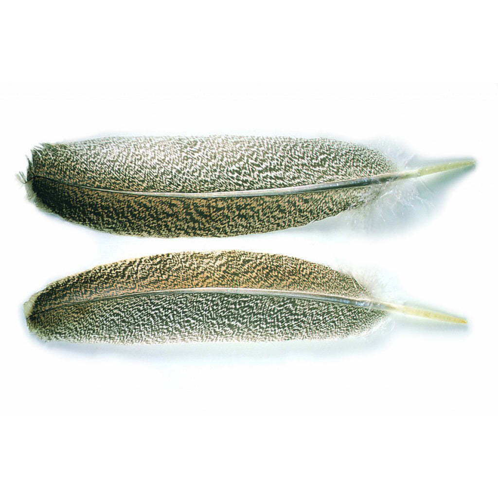 Oak Mottled Turkey Wing Quills - Grade 1