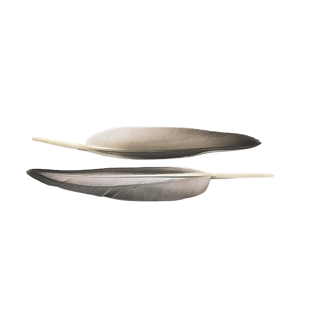Mallard Duck Wing Quills - Grey