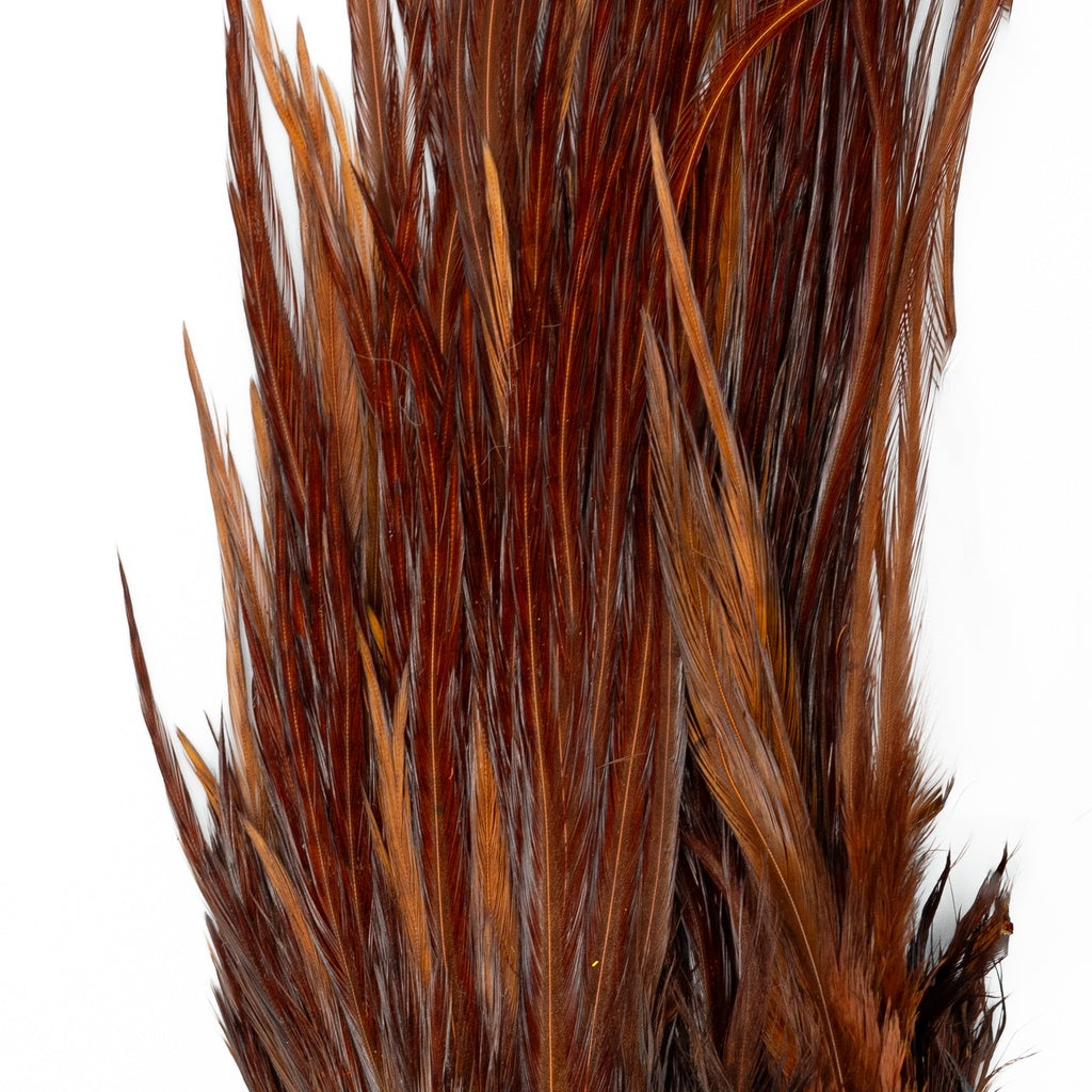 GENETIC ROOSTER SADDLE