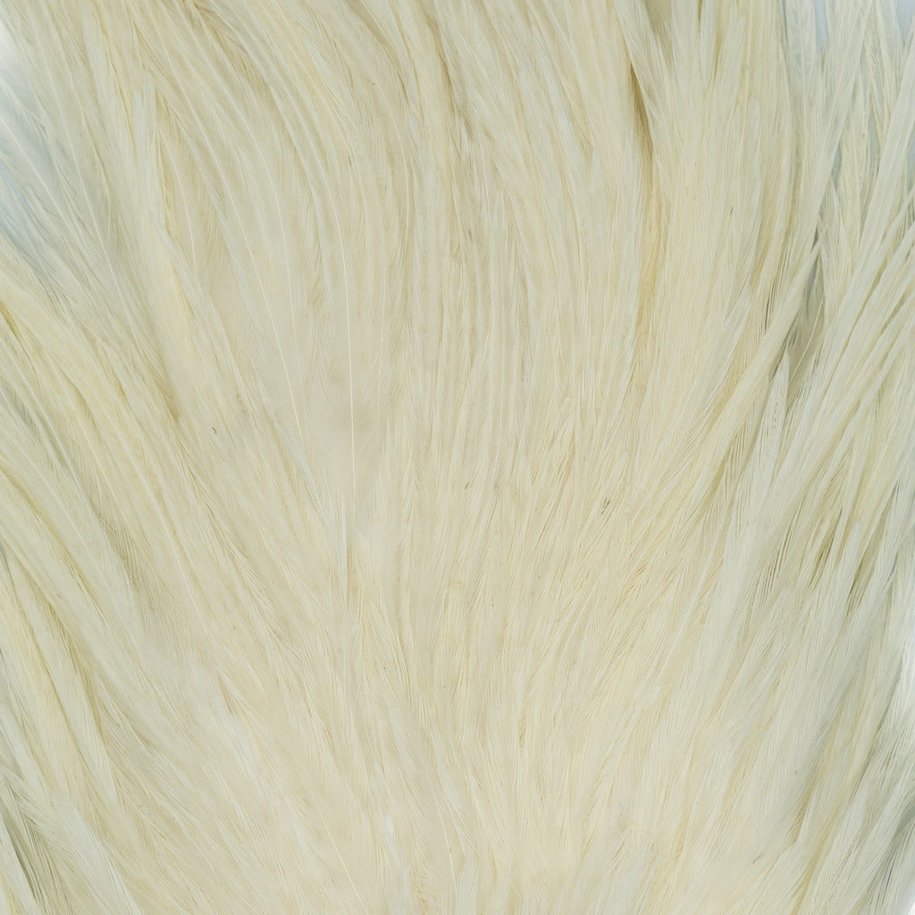 GENETIC ROOSTER SADDLE