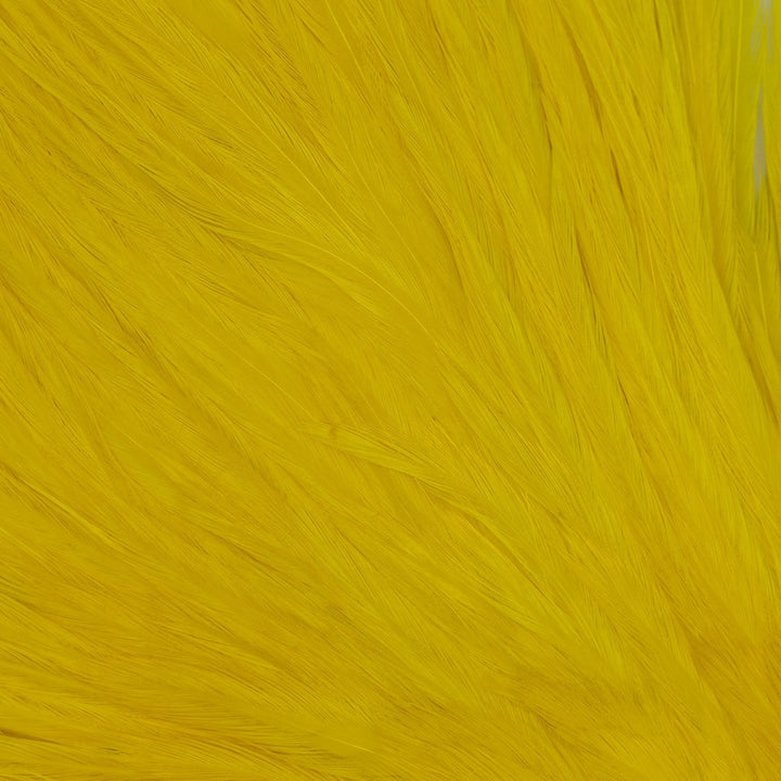 GENETIC ROOSTER SADDLE