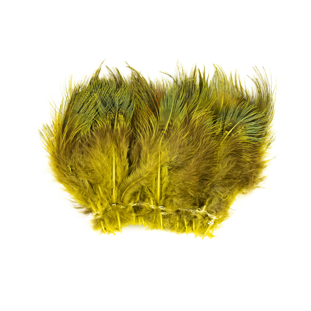 RING-NECKED PHEASANT RUMP HACKLE