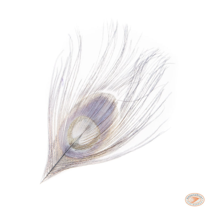 Dyed Peacock Eyes