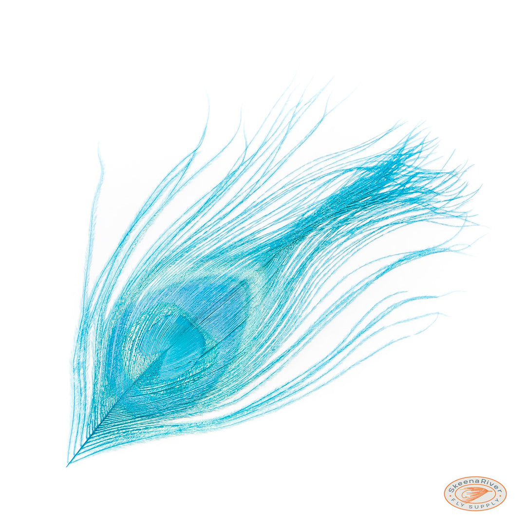 Dyed Peacock Eyes