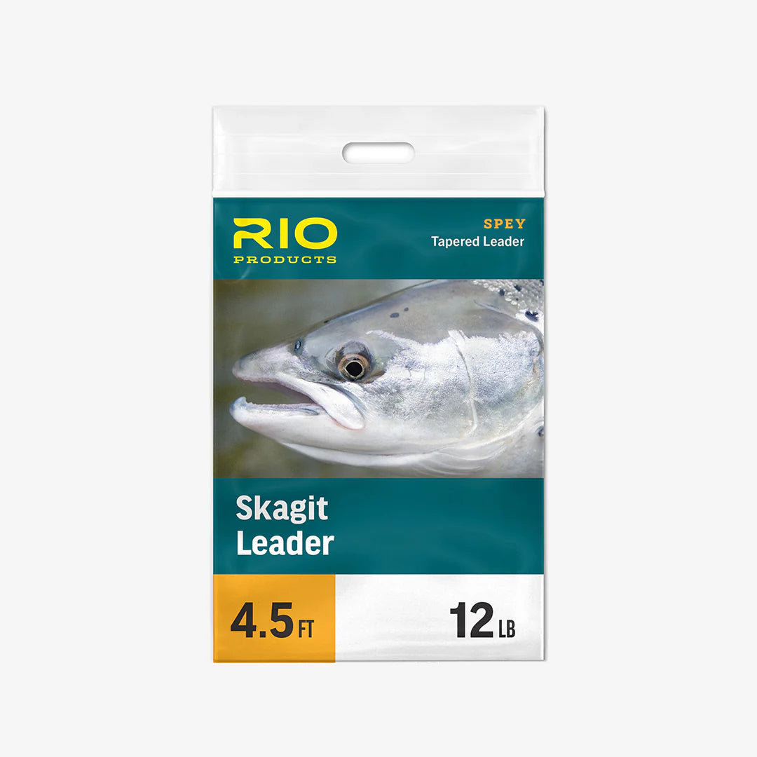 SKAGIT LEADER