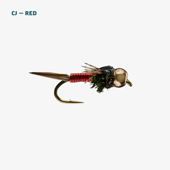 BASIC TROUT
